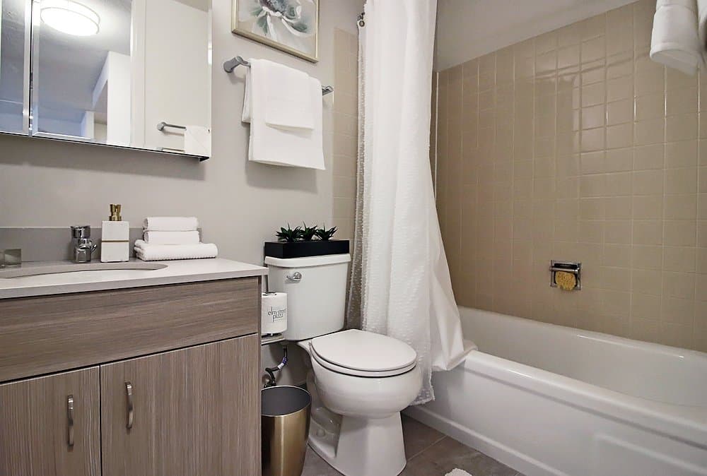 Chicago Condo: 1109 North Clark Street