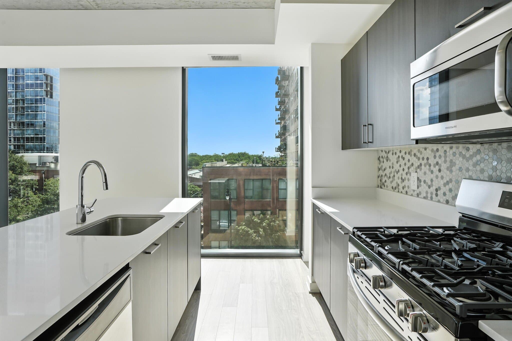 Chicago Condo: 1317 South Wabash Avenue
