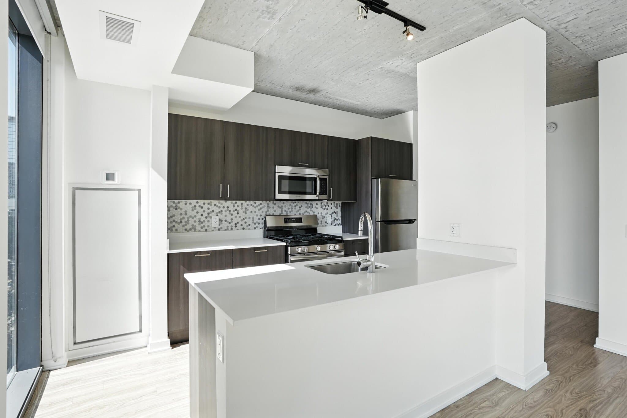 Chicago Condo: 1317 South Wabash Avenue