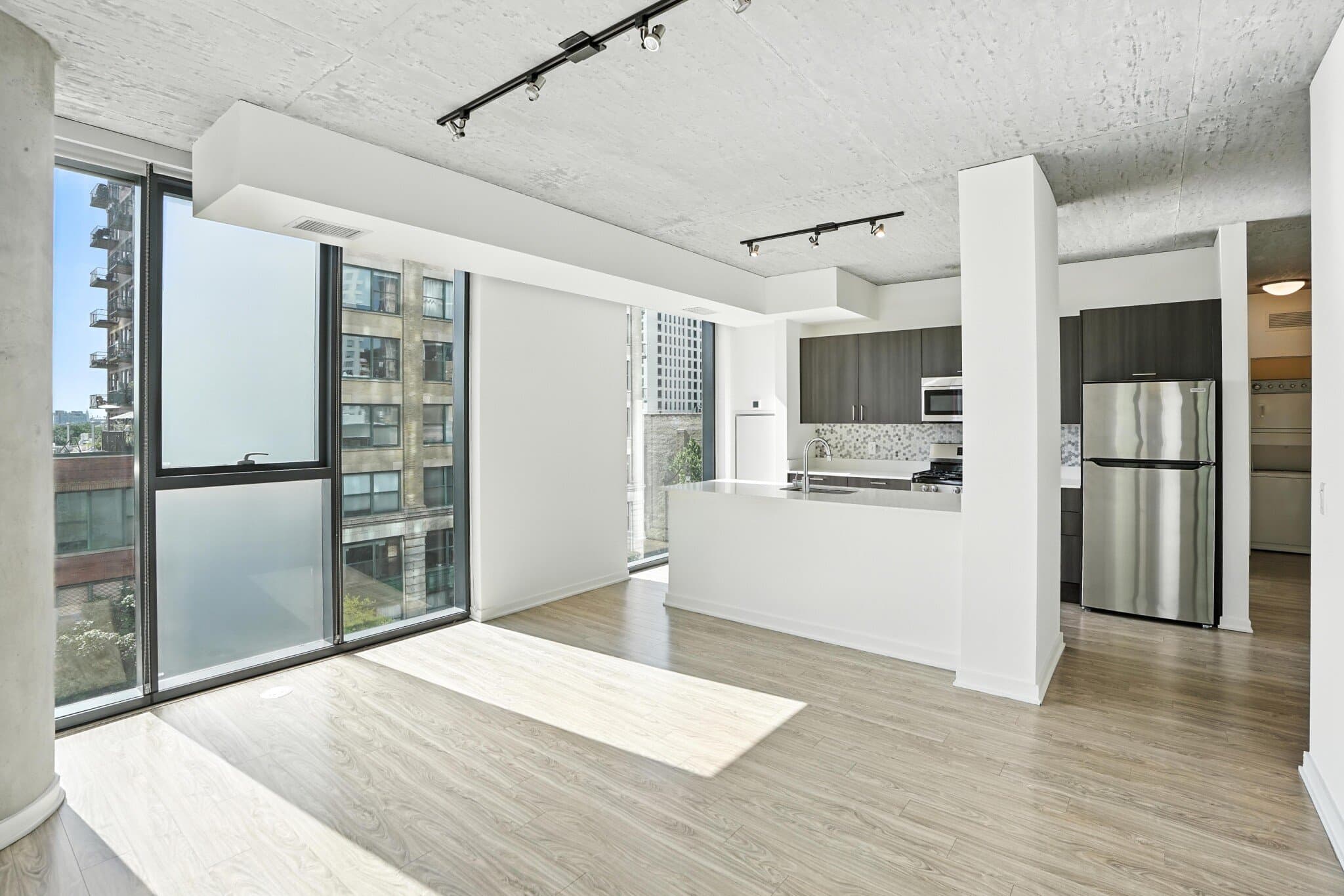 Chicago Condo: 1317 South Wabash Avenue