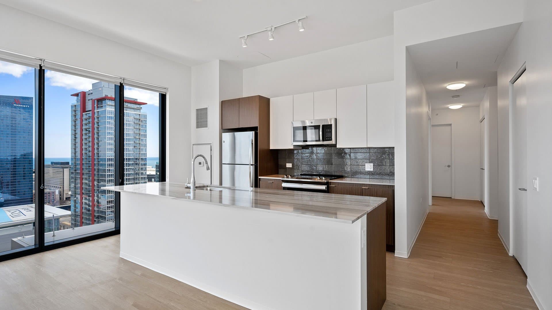 Chicago Condo: 2019 South Wabash Avenue