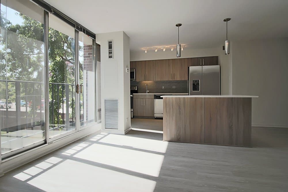 Chicago Condo: 1559 West Polk Street