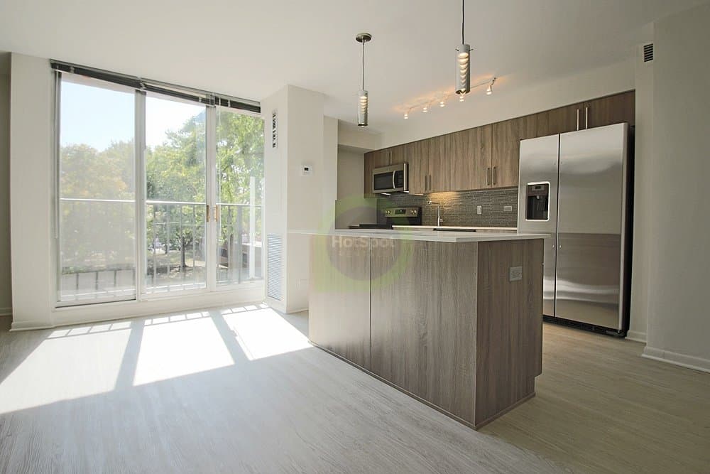 Chicago Condo: 1559 West Polk Street