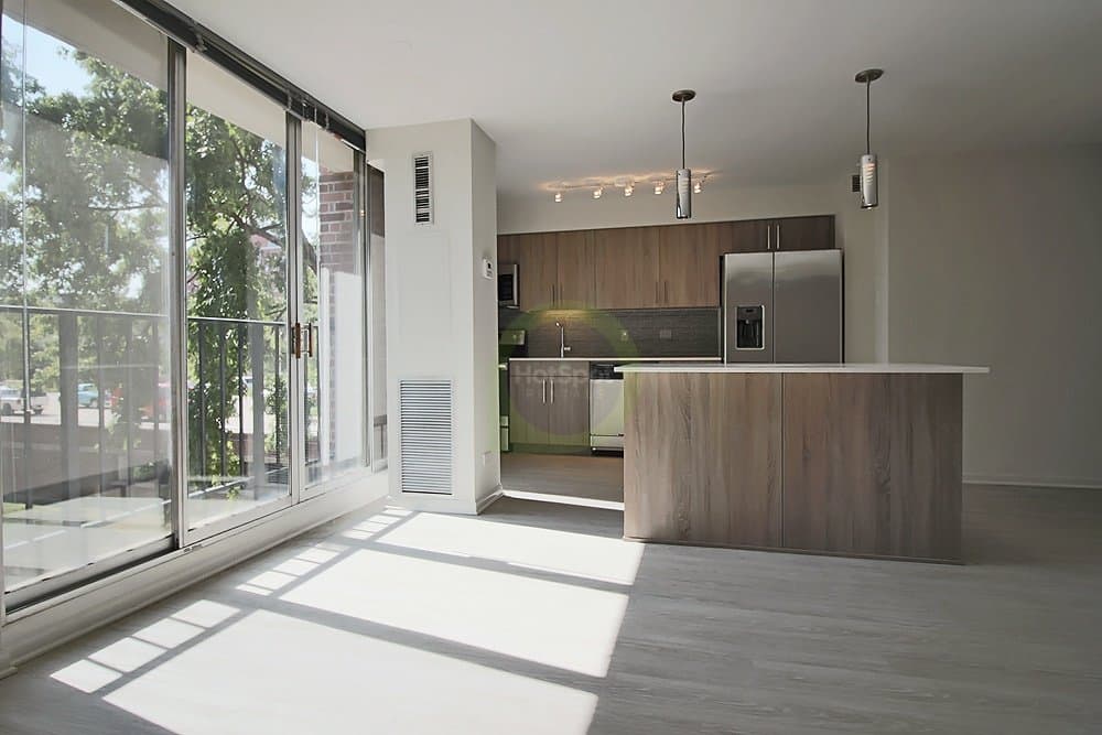 Chicago Condo: 1559 West Polk Street