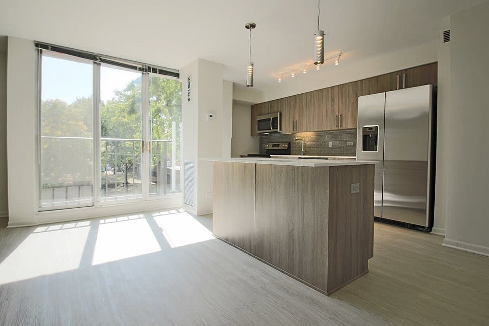 Chicago Condo: 1559 West Polk Street