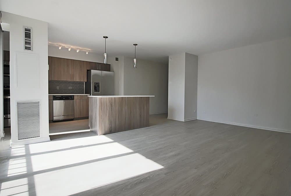 Chicago Condo: 1559 West Polk Street