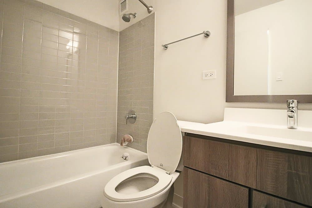 Chicago Condo: 1559 West Polk Street