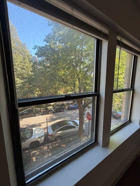 Chicago Apartment: 4278 N Hazel St