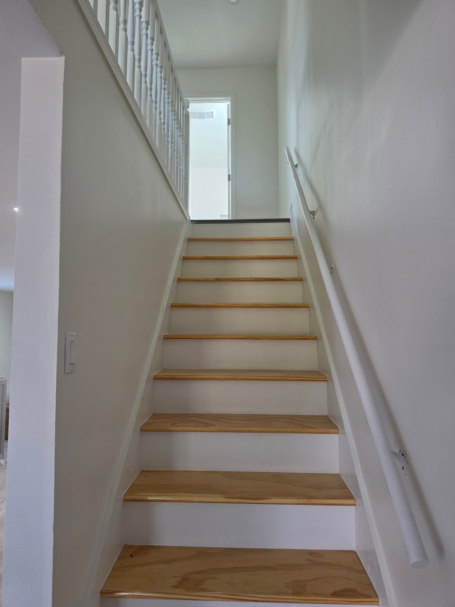 st rose Multiplex: 250 Mockingbird ln