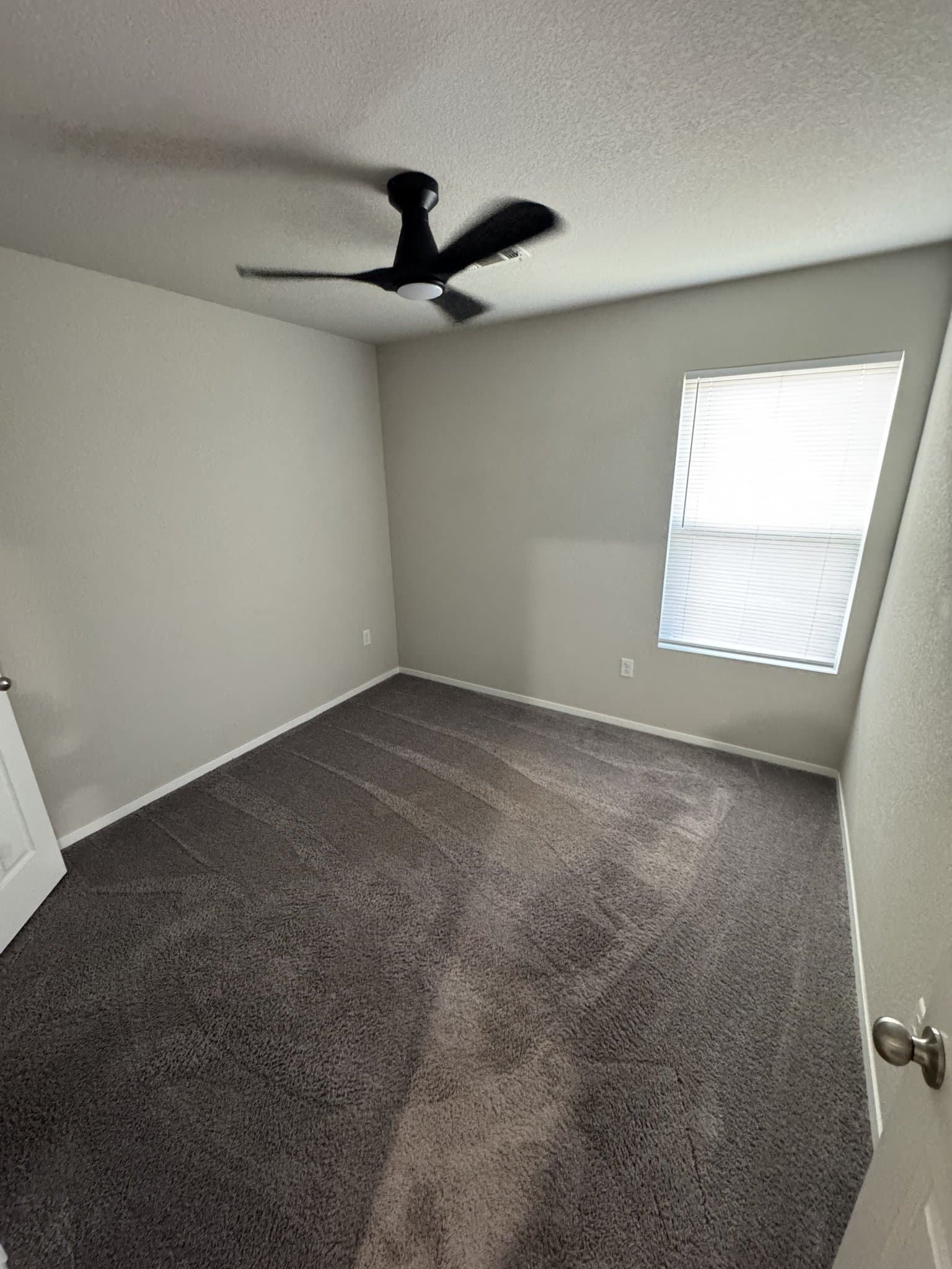 Fayetteville House: 733 S Jaybird Ln