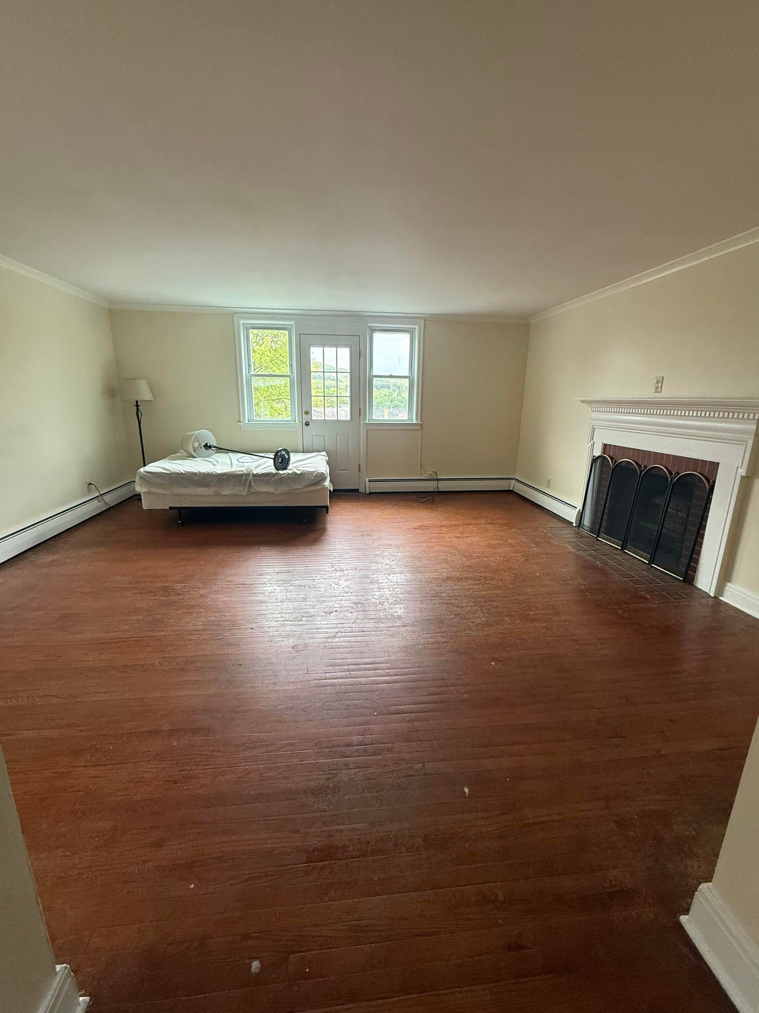 Olean Apartment: 312 Laurens Street