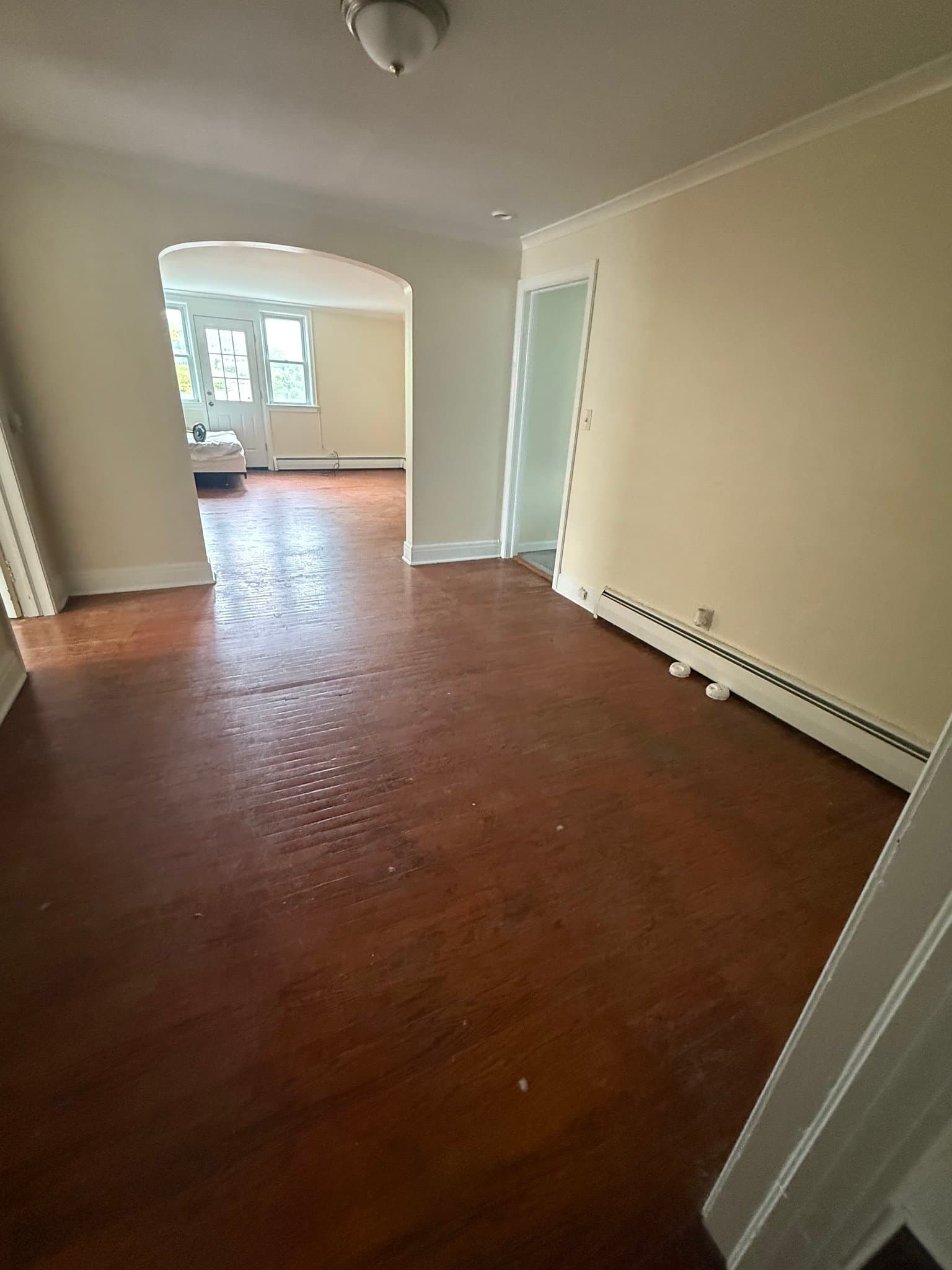 Olean Apartment: 312 Laurens Street
