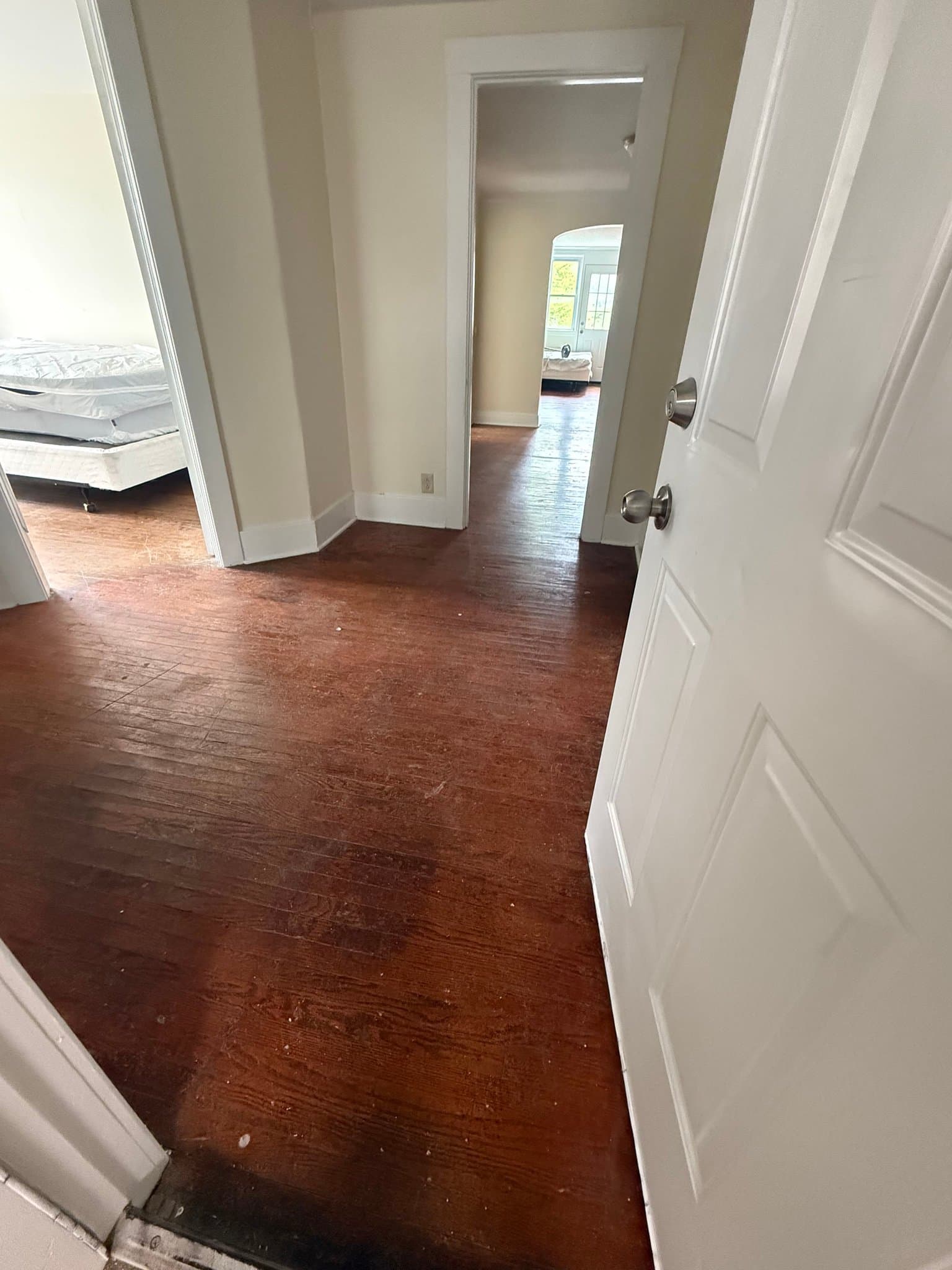 Olean Apartment: 312 Laurens Street