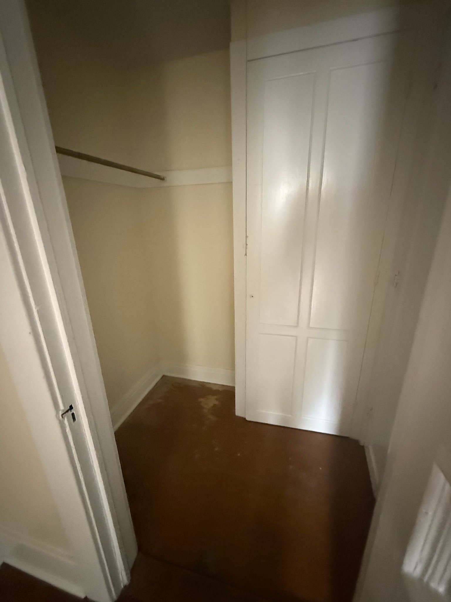 Olean Apartment: 312 Laurens Street