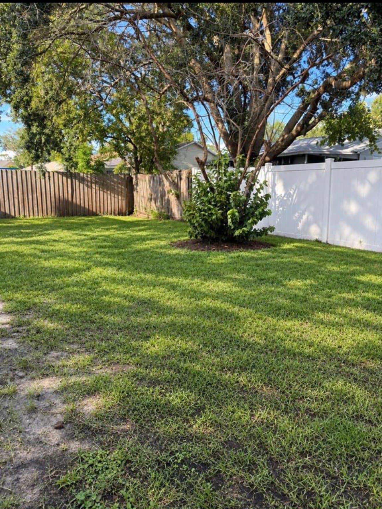 Orlando House: 1125 Hackberry Dr