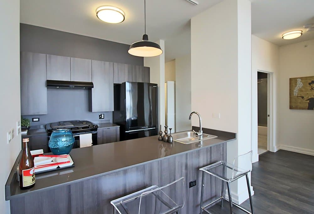 Chicago Condo: 121 East Cermak Road