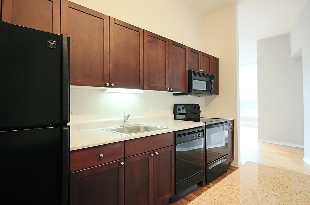 Chicago Condo: 409 S Dearborn St