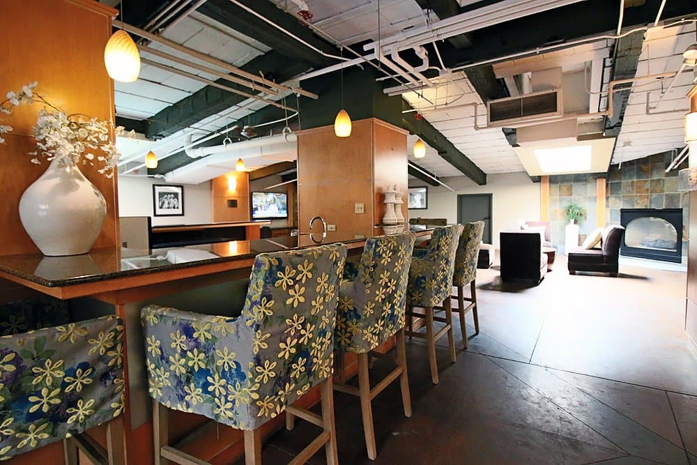 Chicago Condo: 409 S Dearborn St