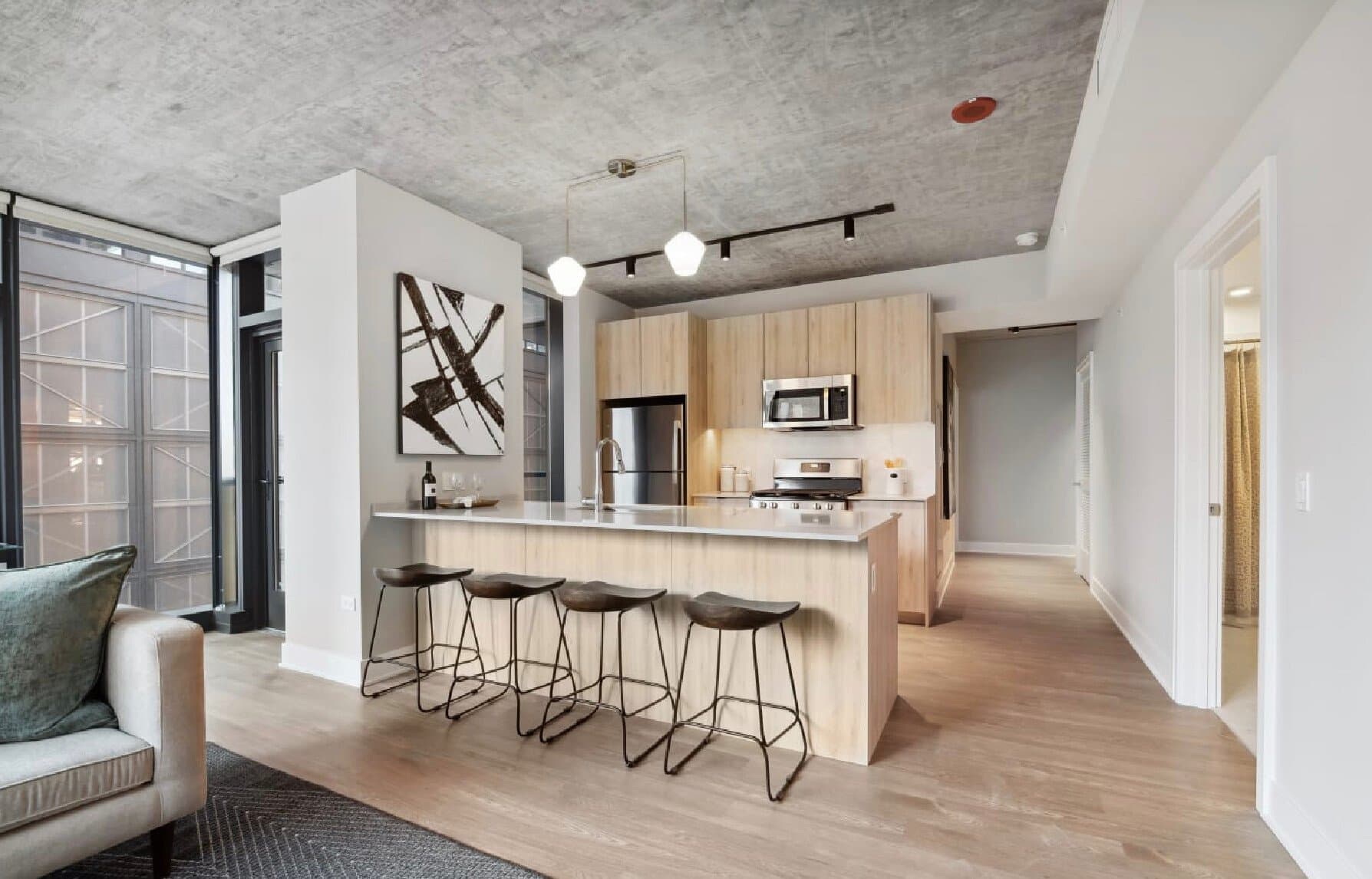 Chicago Condo: 1017 W Jackson Blvd