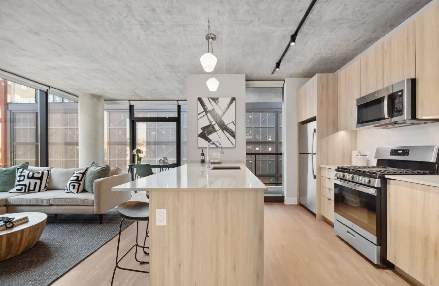 Chicago Condo: 1017 W Jackson Blvd