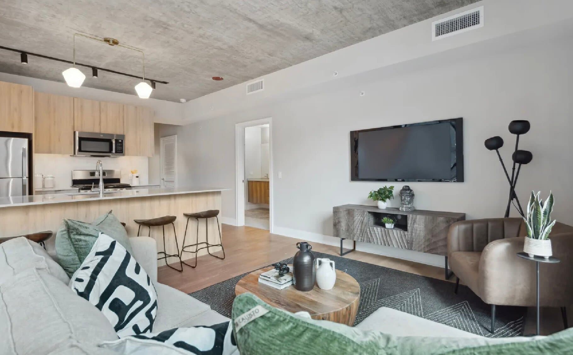 Chicago Condo: 1017 W Jackson Blvd