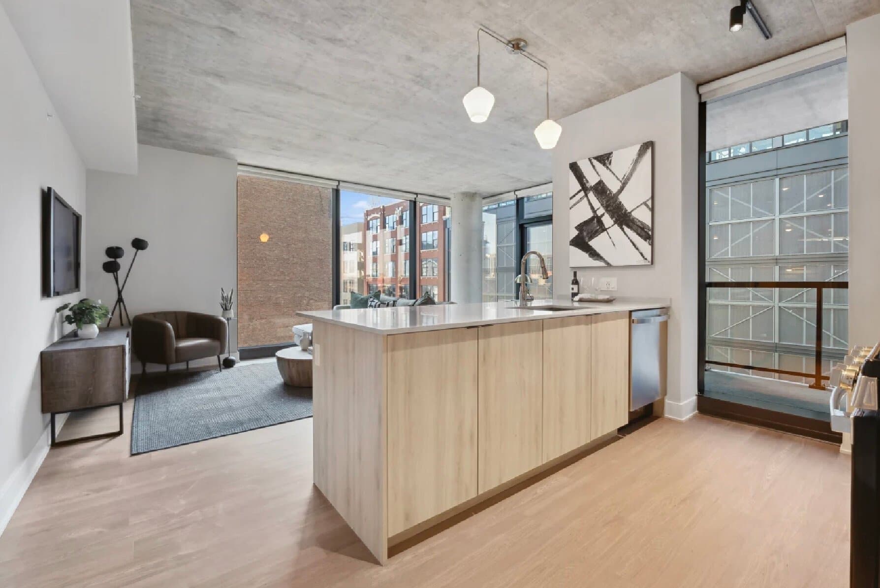 Chicago Condo: 1017 W Jackson Blvd
