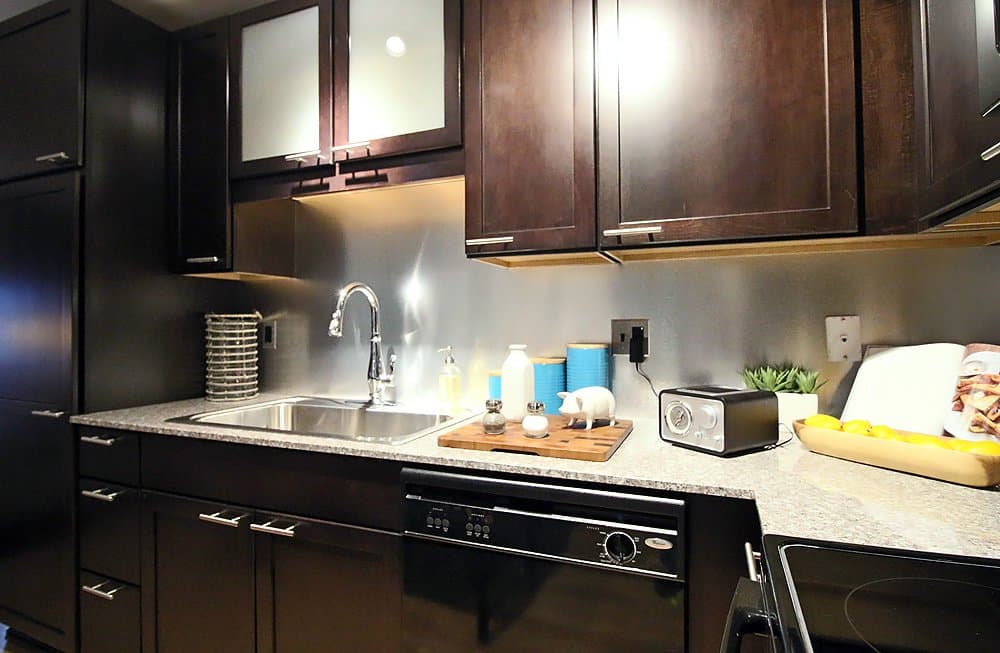 Chicago Condo: 156 North La Salle Street