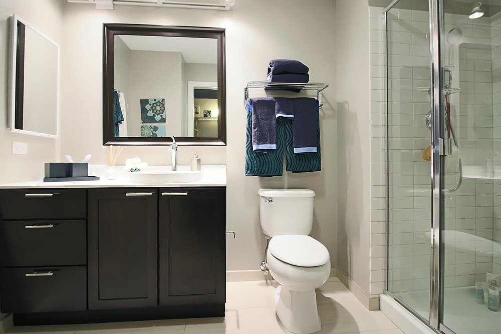 Chicago Condo: 156 North La Salle Street