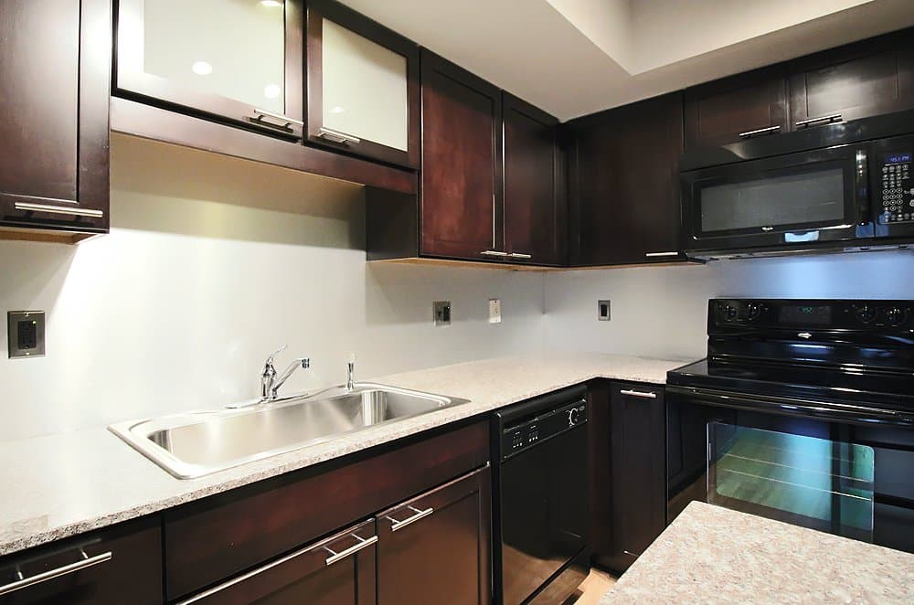 Chicago Condo: 156 North La Salle Street