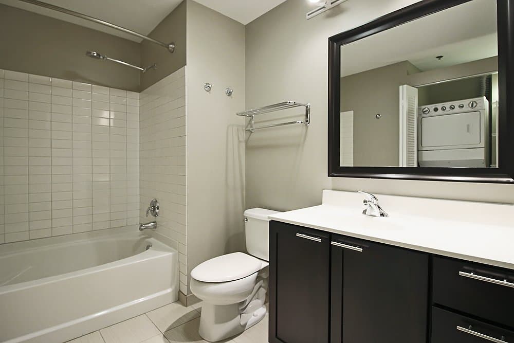Chicago Condo: 156 North La Salle Street