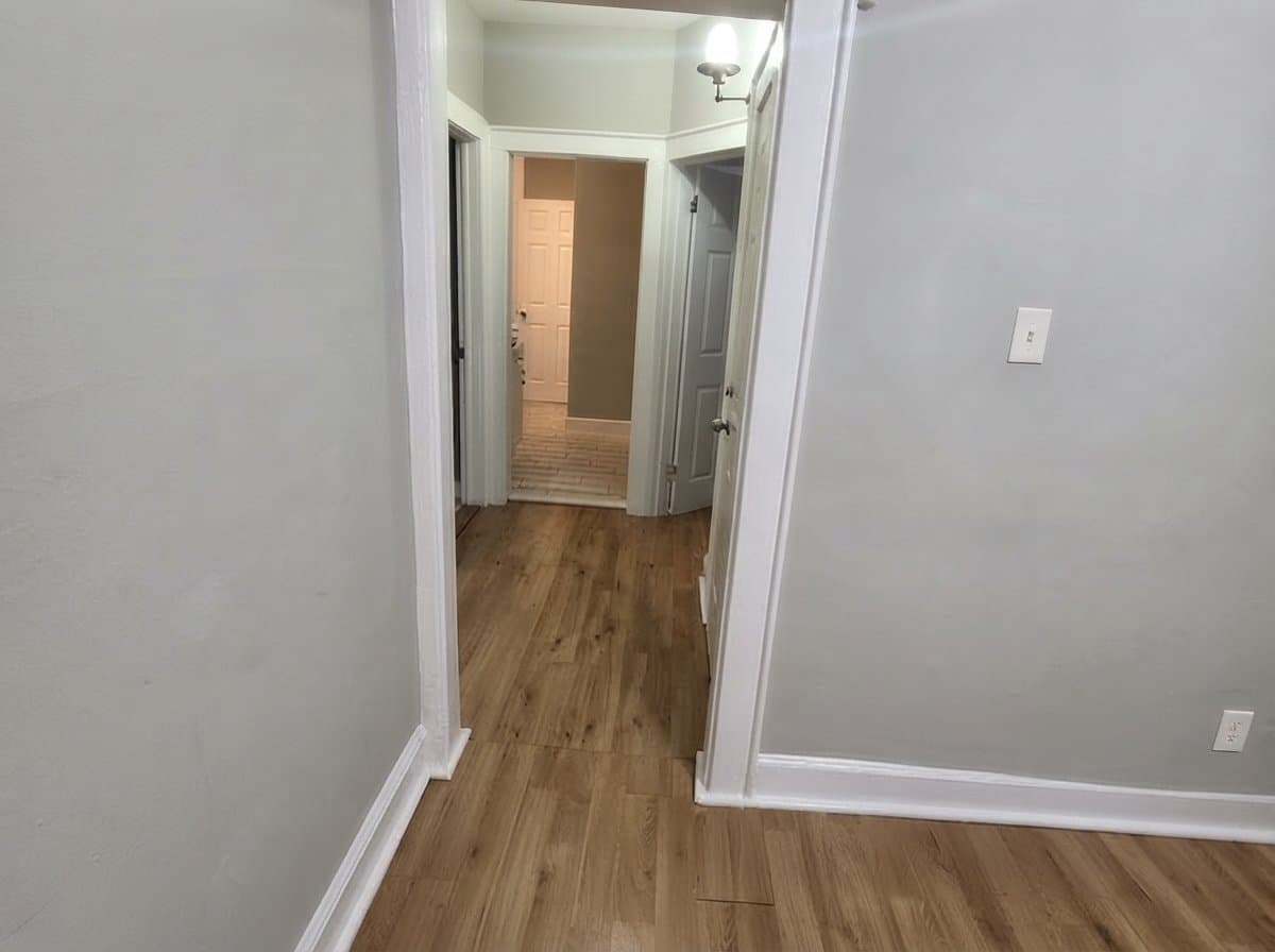 Newark Apartment: 183 Scheerer Ave
