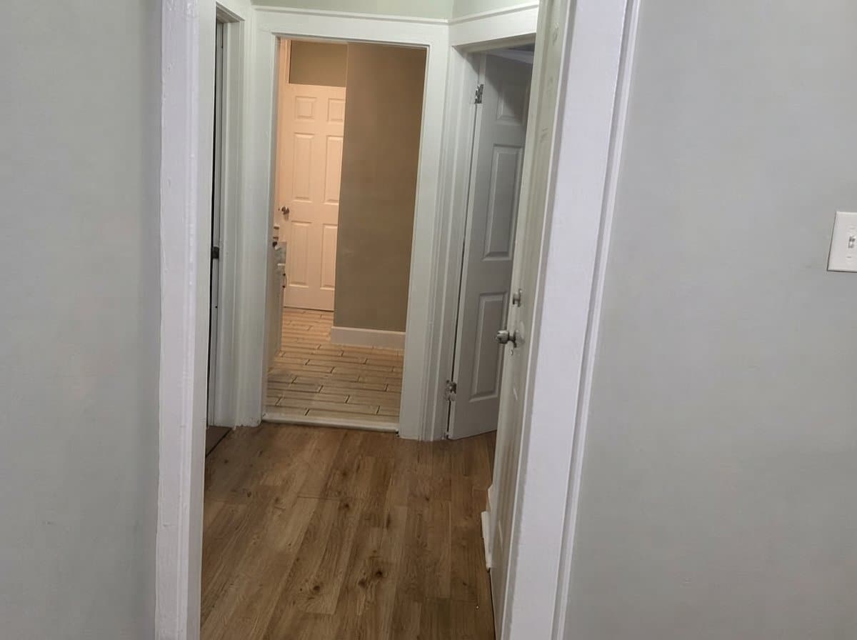 Newark Apartment: 183 Scheerer Ave