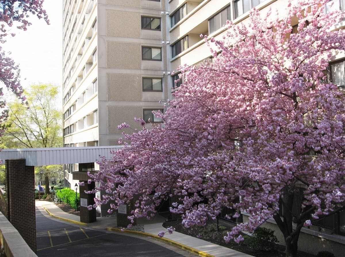 Alexandria Condo: 5911 Edsall Rd