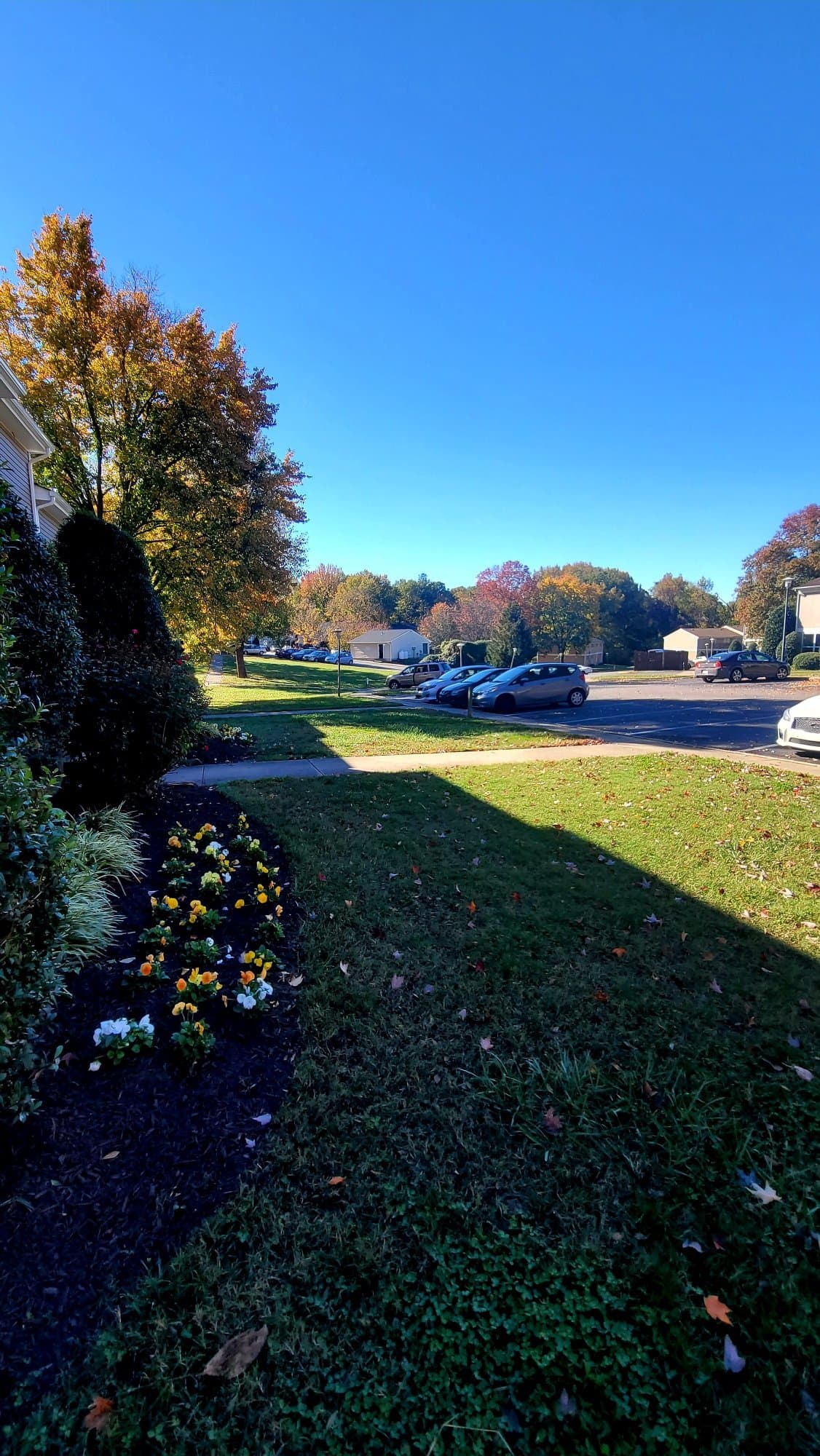 Henrico Multiplex: 1265 Nelson St