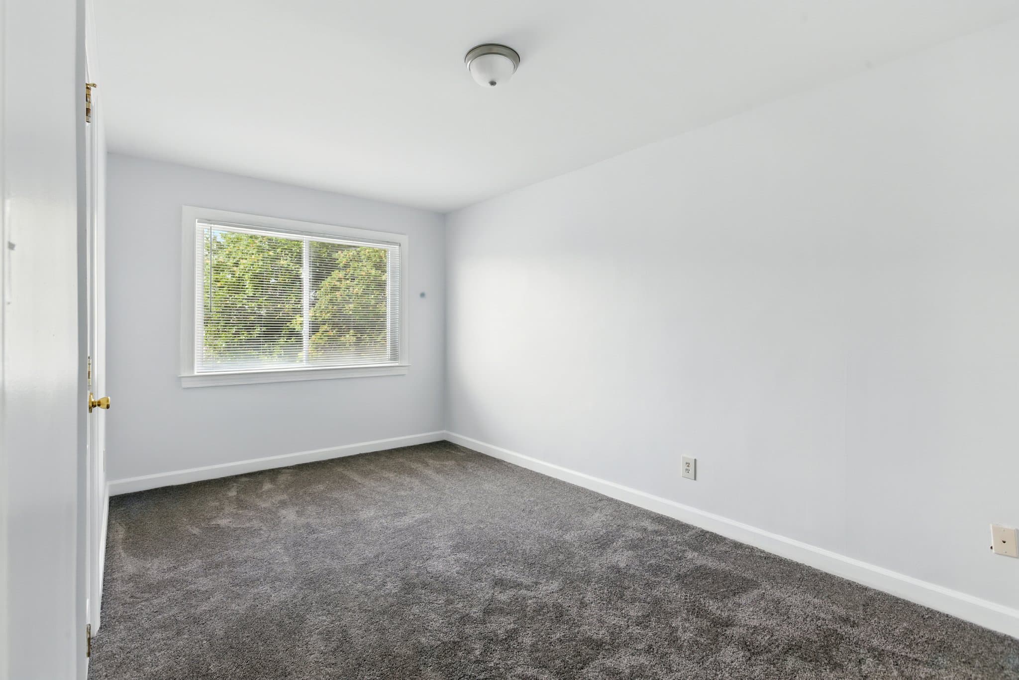 Washington Condo: 709 Brandywine St SE
