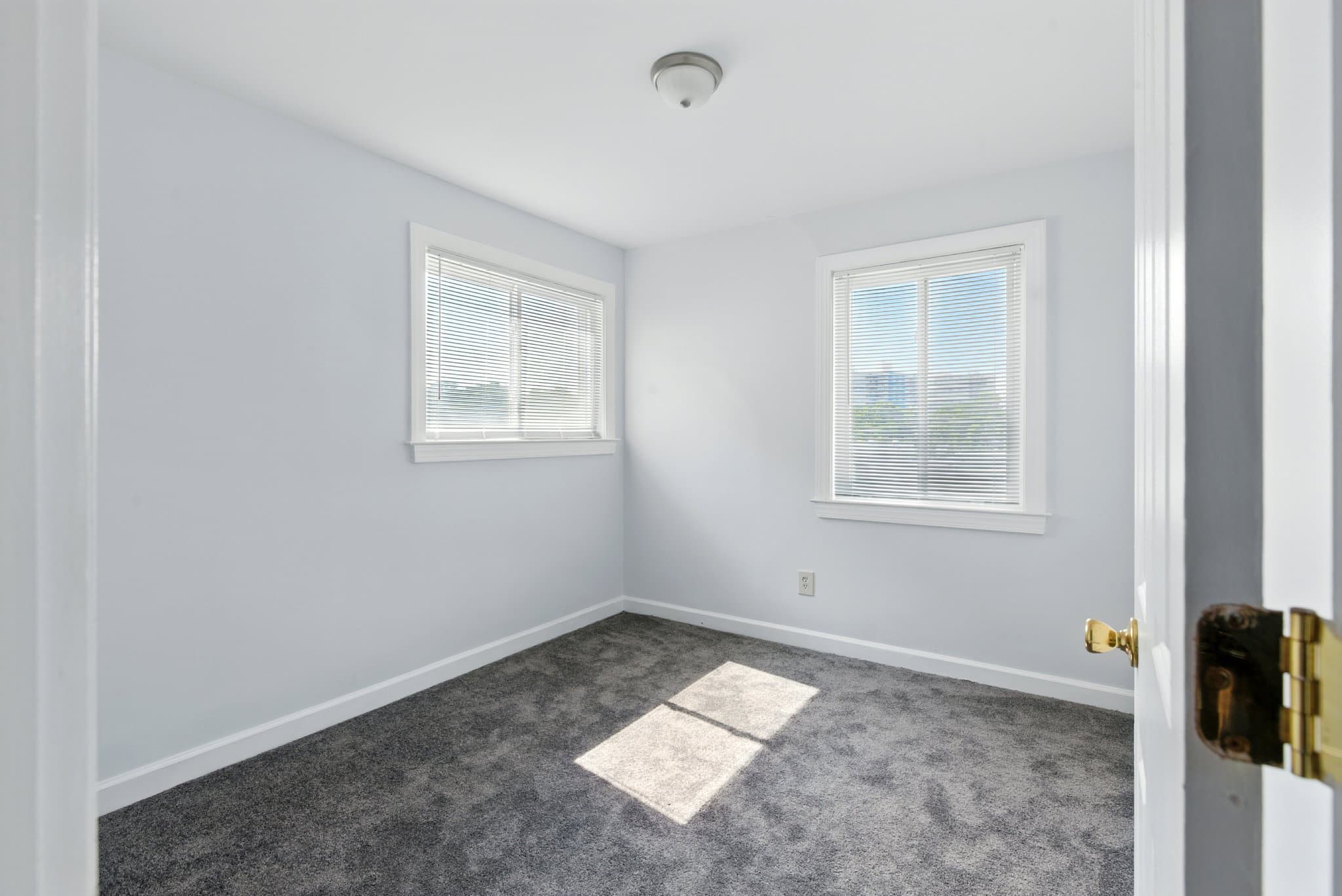 Washington Condo: 709 Brandywine St SE