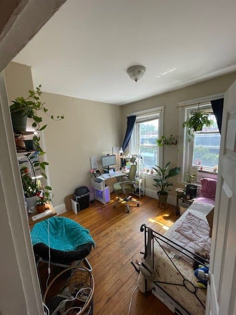 Brighton Multiplex: 4 Litchfield St