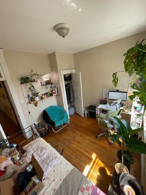 Brighton Multiplex: 4 Litchfield St
