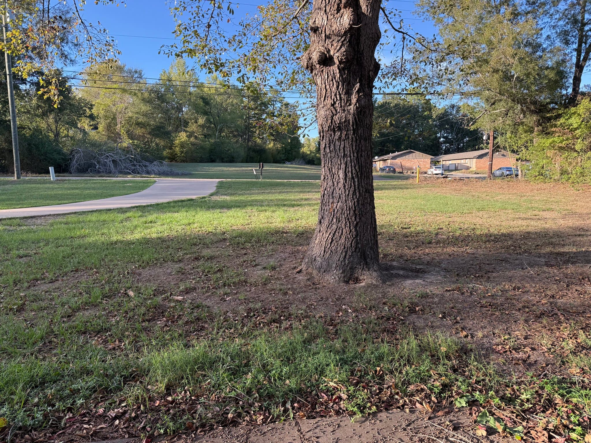 White Oak House: 518 E Center St