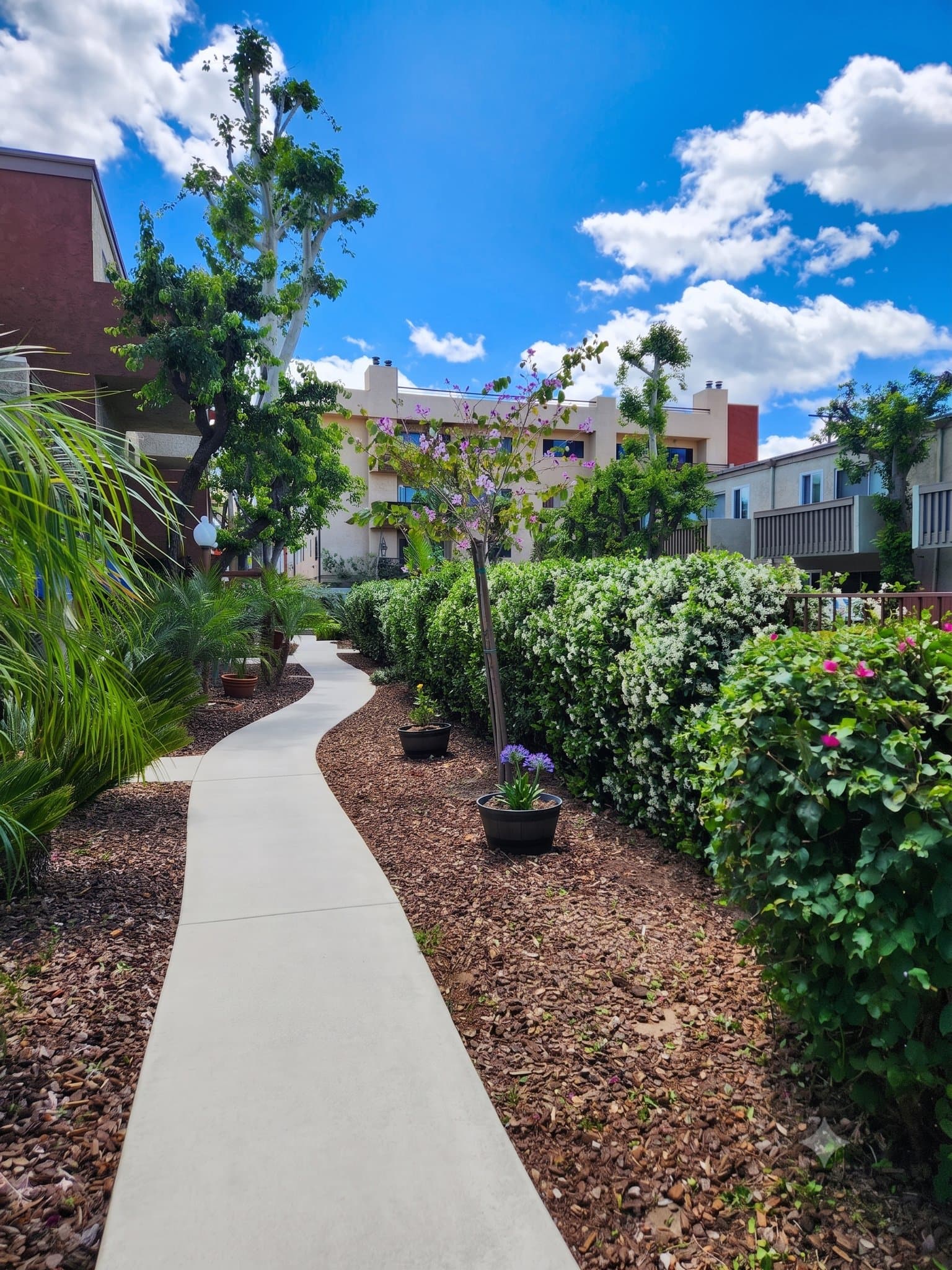 Canoga Park Apartment: 8726 Independence Ave.