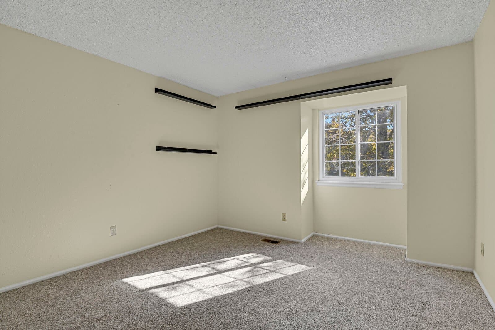 Thornton Townhome: 10112 Quivas St.
