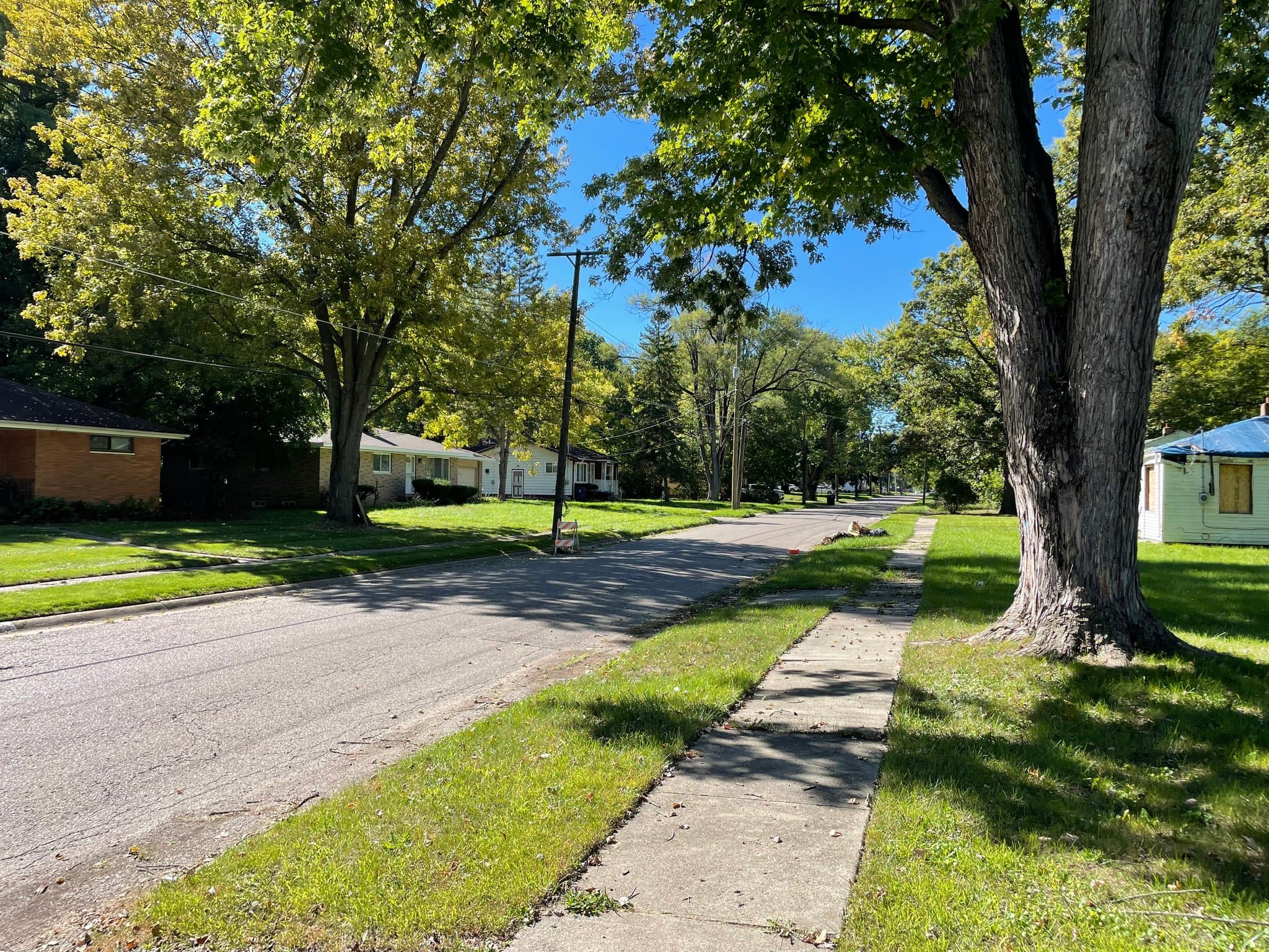 Flint House: 306 W Gracelawn Ave