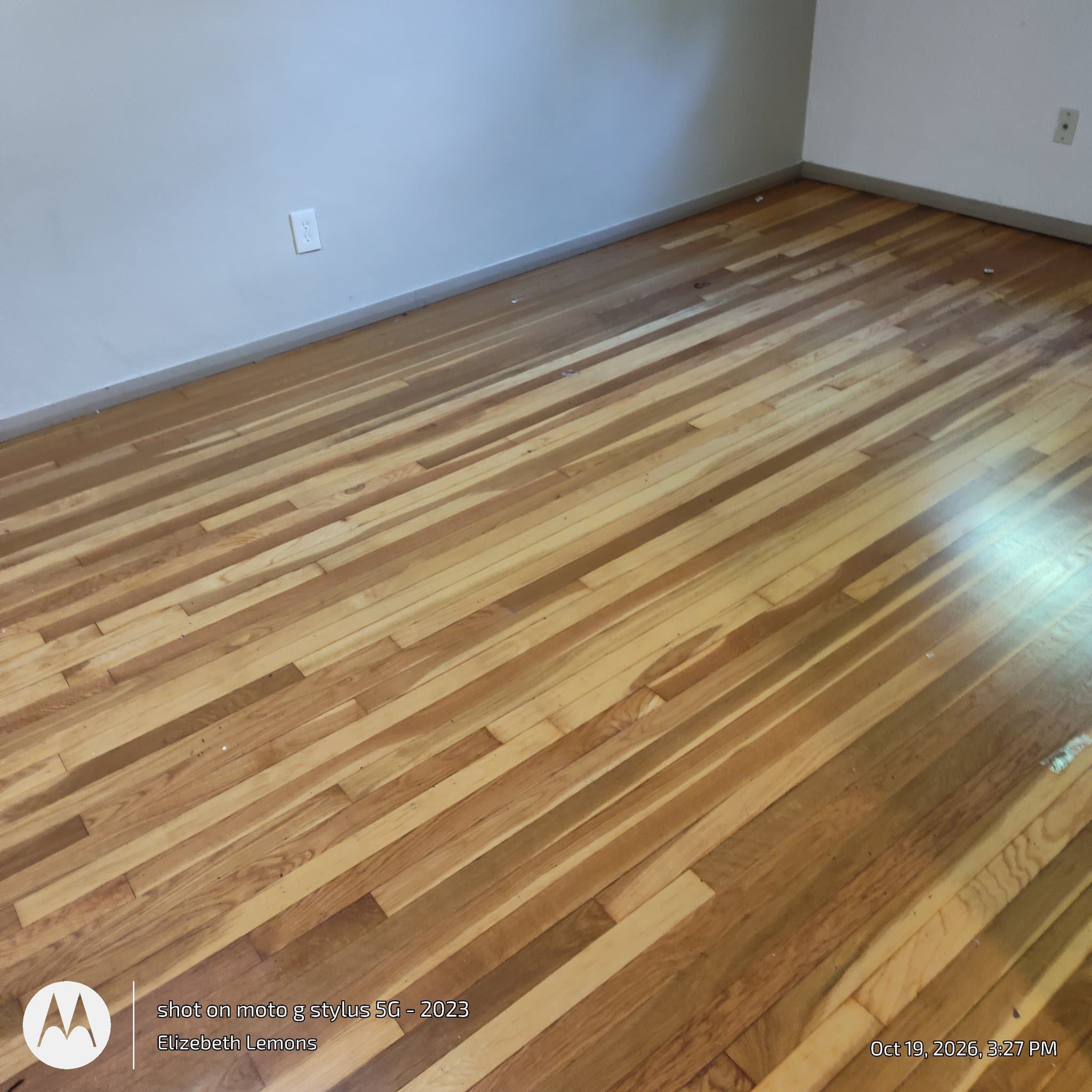 Saint Louis Apartment: 4145 Magnolia Avenue