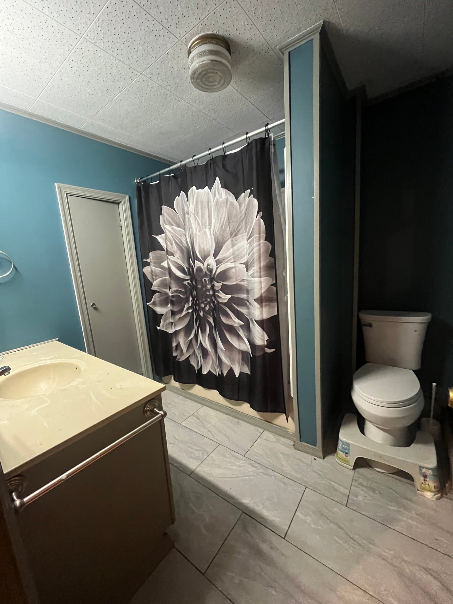 Reading Townhome: 117 Upland Ave