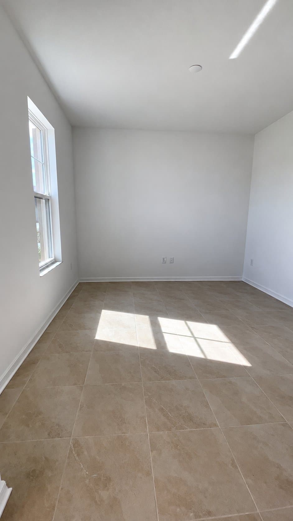 Dade City House: 12151 Stirrup Dr