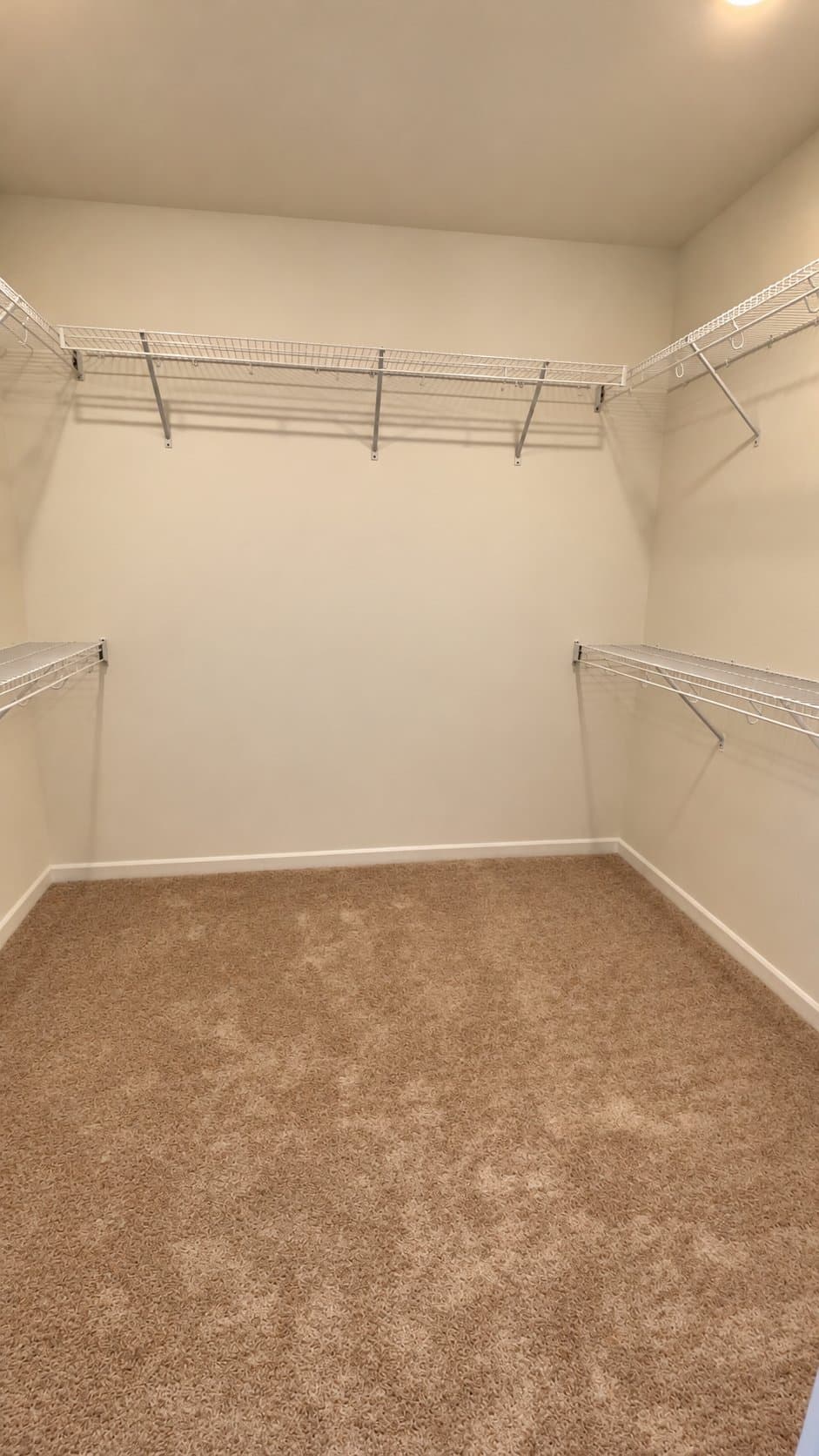 Dade City House: 12151 Stirrup Dr