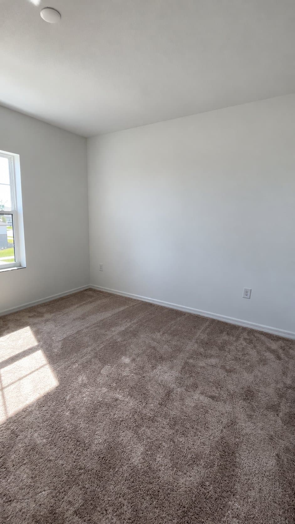 Dade City House: 12151 Stirrup Dr