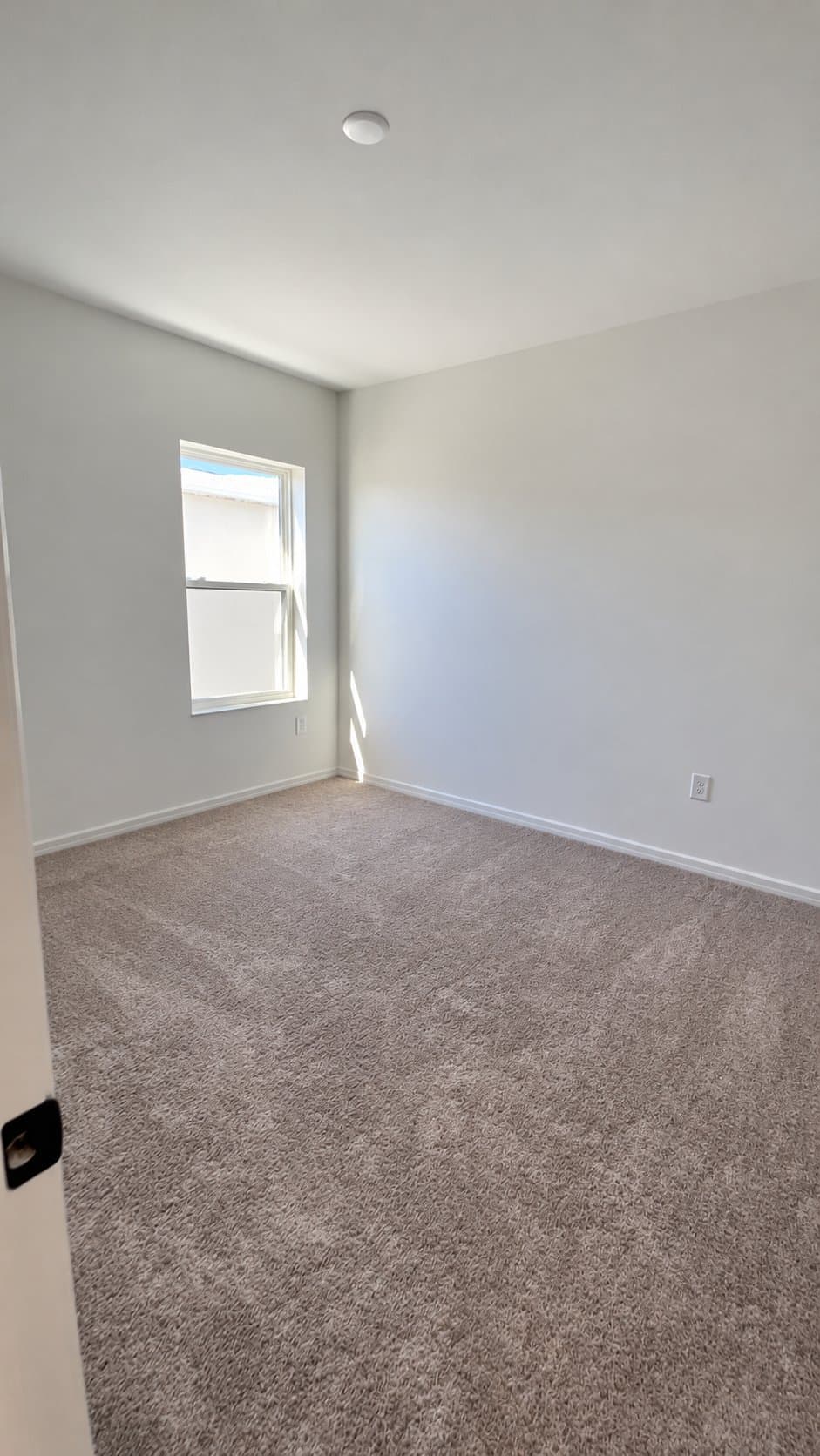 Dade City House: 12151 Stirrup Dr