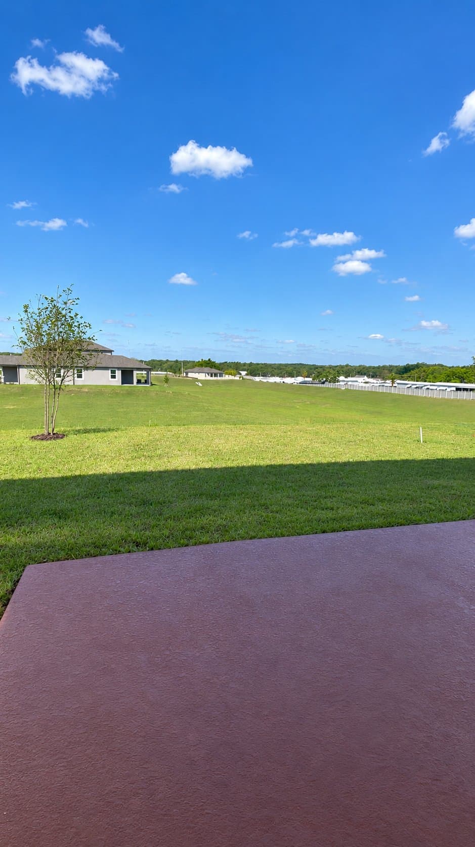 Dade City House: 12151 Stirrup Dr