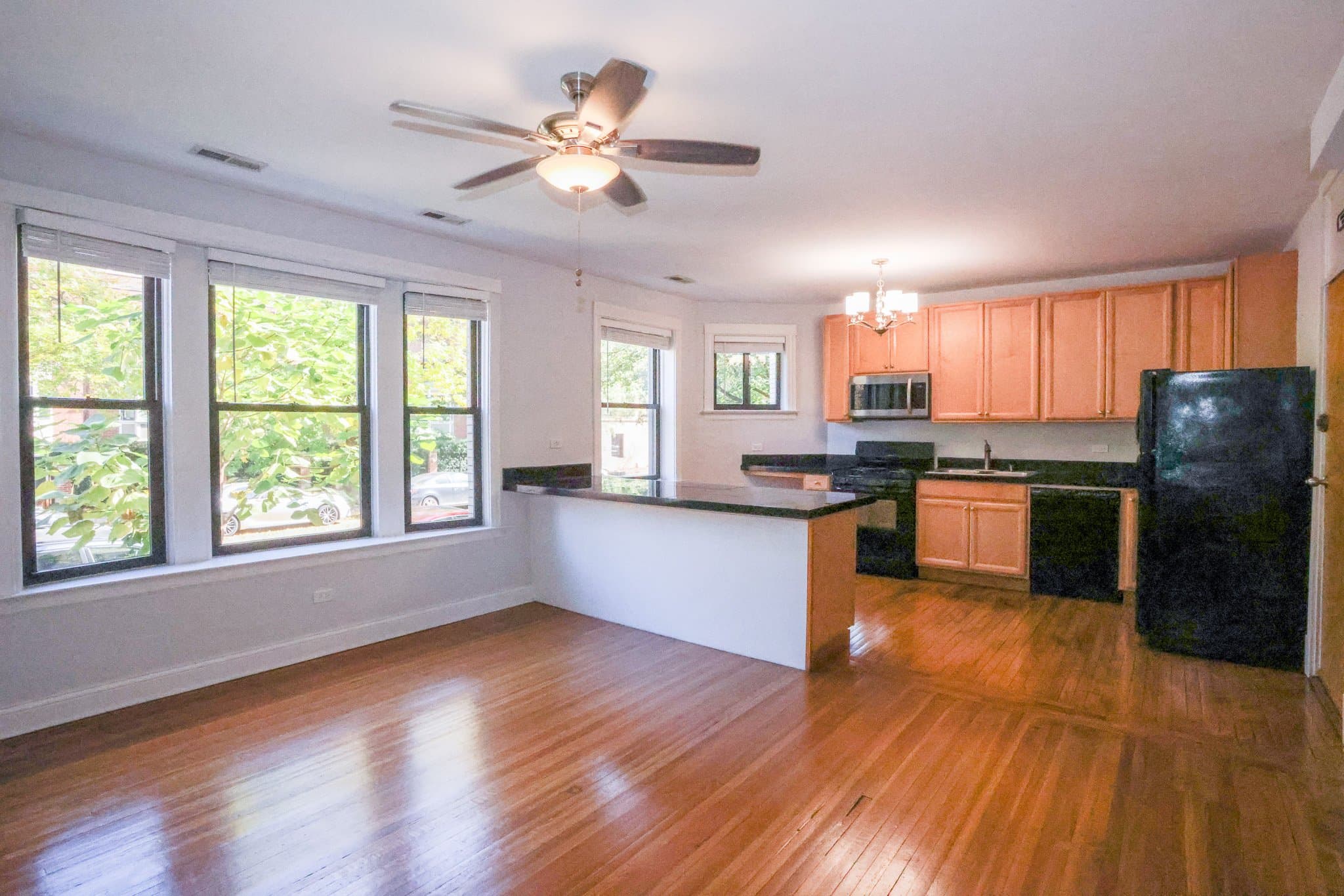 Chicago Apartment: 901 Sheridan